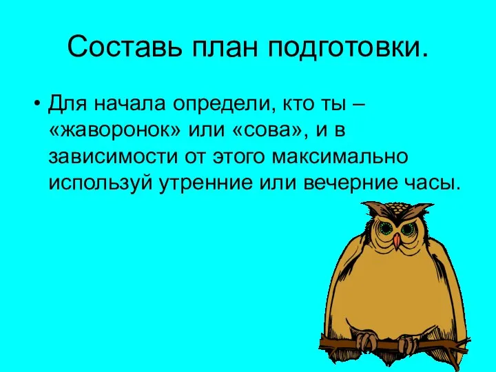 Составь план подготовки. Для начала определи, кто ты – «жаворонок» или «сова»,