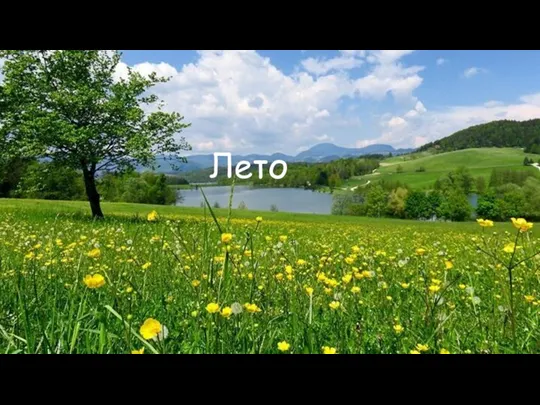 Лето