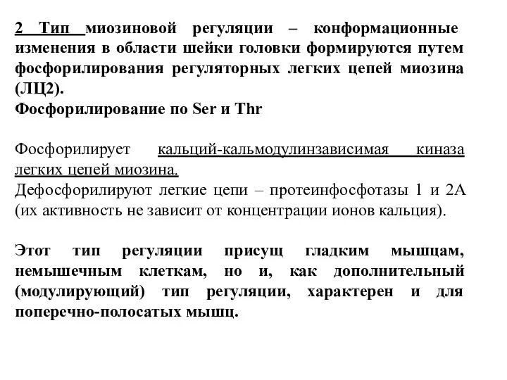 2 Тип миозиновой регуляции – конформационные изменения в области шейки головки формируются