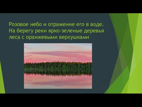 Розовое небо и отражение его в воде. На берегу реки ярко-зеленые деревья леса с оранжевыми верхушками