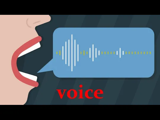 voice