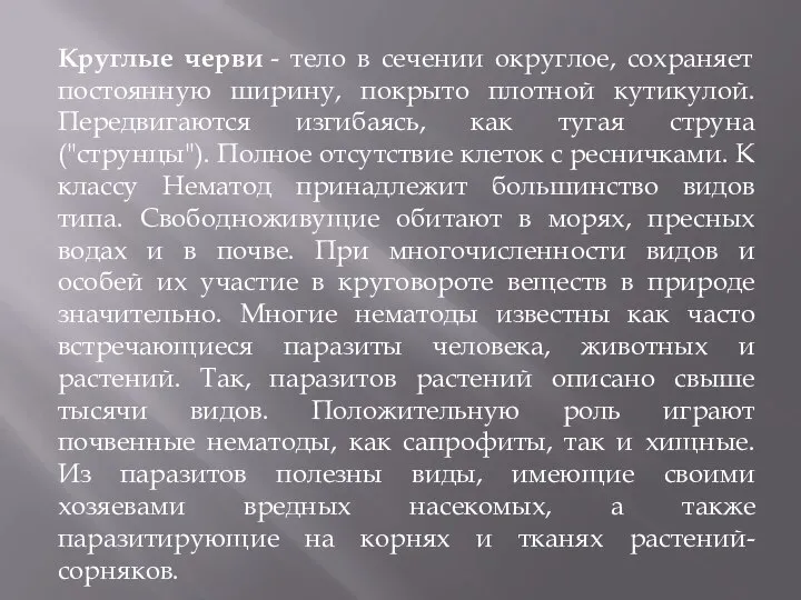 Круглые черви - тело в сечении округлое, сохраняет постоянную ширину, покрыто плотной