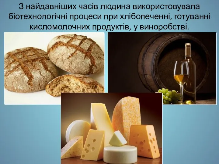 З найдавніших часів людина використовувала біотехнологічні процеси при хлібопеченні, готуванні кисломолочних продуктів, у виноробстві.