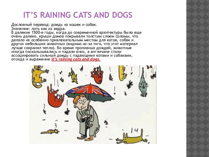 IT’S RAINING CATS AND DOGS Дословный перевод: дождь из кошек и собак.