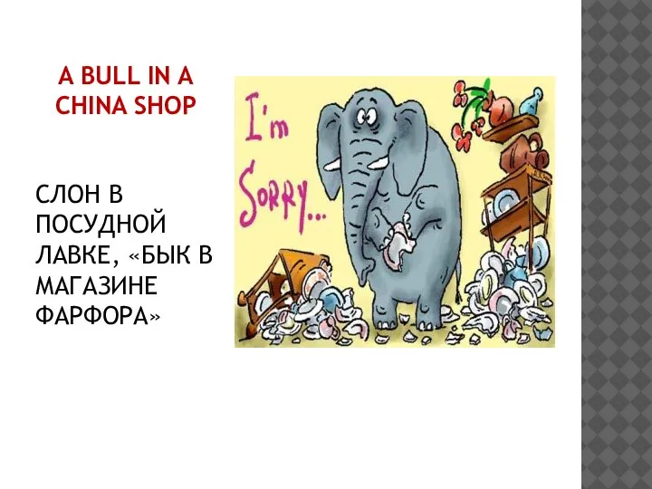 A BULL IN A CHINA SHOP СЛОН В ПОСУДНОЙ ЛАВКЕ, «БЫК В МАГАЗИНЕ ФАРФОРА»