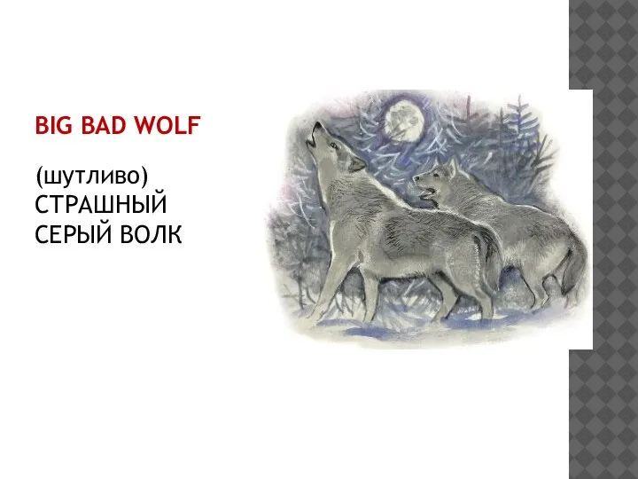 BIG BAD WOLF (шутливо) СТРАШНЫЙ СЕРЫЙ ВОЛК