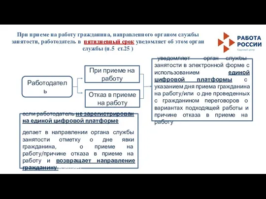 При приеме на работу гражданина, направленного органом службы занятости, работодатель в пятидневный