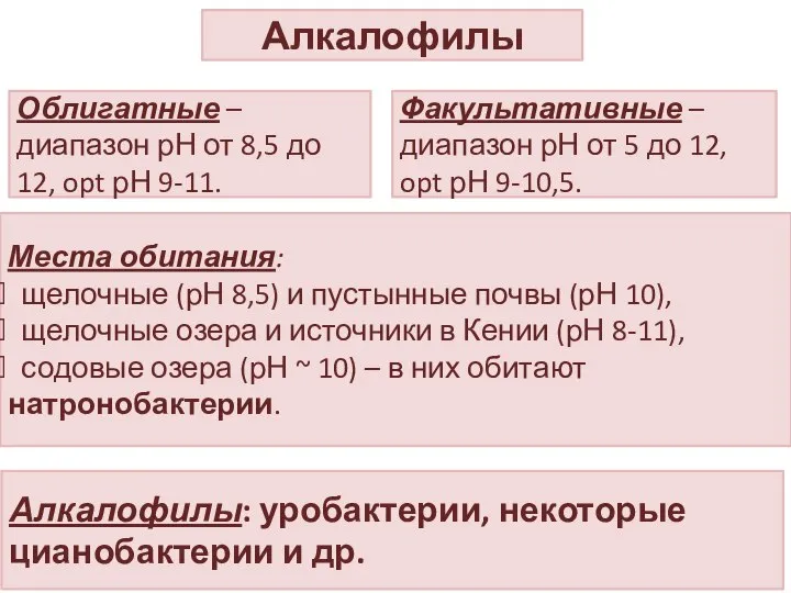 Алкалофилы Облигатные – диапазон рН от 8,5 до 12, opt рН 9-11.