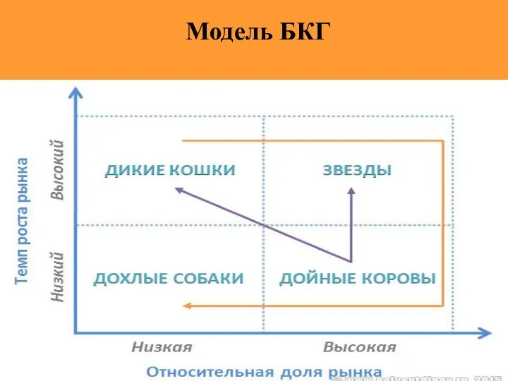 Модель БКГ