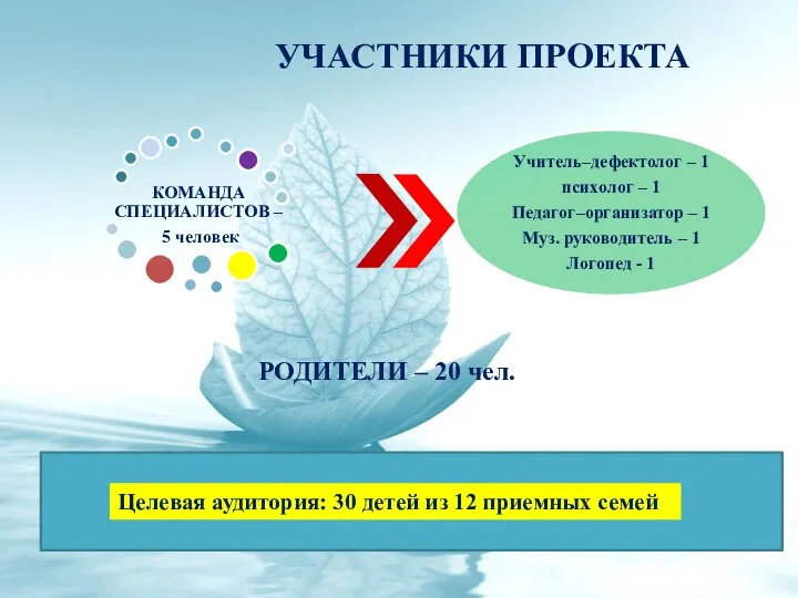 Целевая аудитория: 30 детей из 12 приемных семей УЧАСТНИКИ ПРОЕКТА