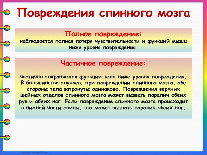 Повреждения спинного мозга Полное повреждение: наблюдается полная потеря чувствительности и функций мышц