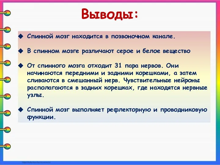 Спинной мозг находится в позвоночном канале. В спинном мозге различают серое и