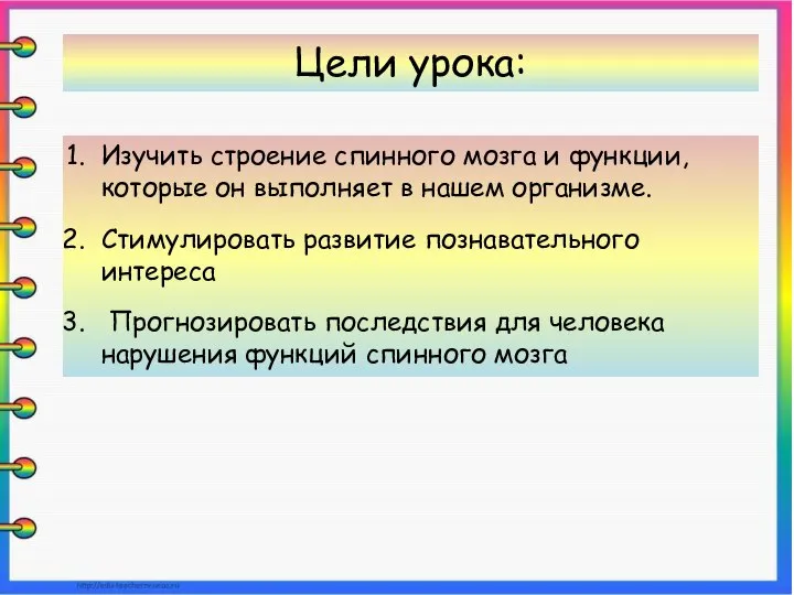 Изучить строение спинного мозга и функции, которые он выполняет в нашем организме.