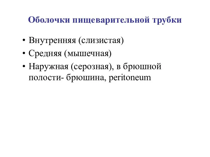 Оболочки пищеварительной трубки Внутренняя (слизистая) Средняя (мышечная) Наружная (серозная), в брюшной полости- брюшина, peritoneum