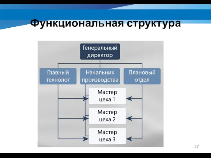 Функциональная структура