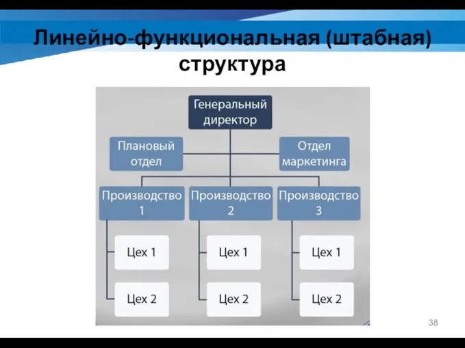 Линейно-функциональная (штабная) структура