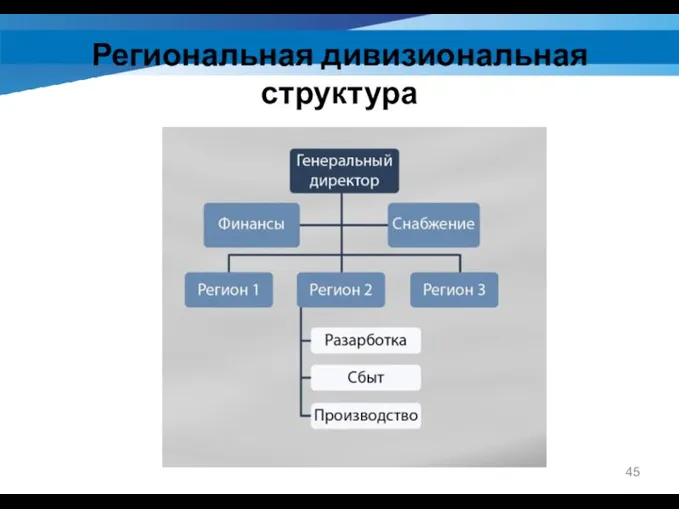 Региональная дивизиональная структура