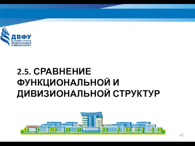 2.5. СРАВНЕНИЕ ФУНКЦИОНАЛЬНОЙ И ДИВИЗИОНАЛЬНОЙ СТРУКТУР