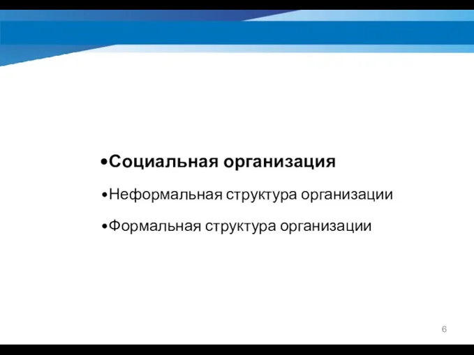 Социальная организация Неформальная структура организации Формальная структура организации