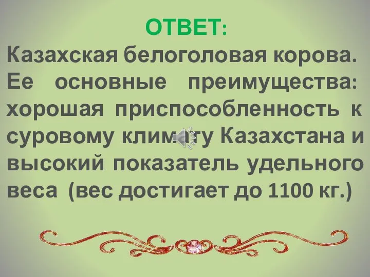 ОТВЕТ: Казахская белоголовая корова. Ее основные преимущества: хорошая приспособленность к суровому климату