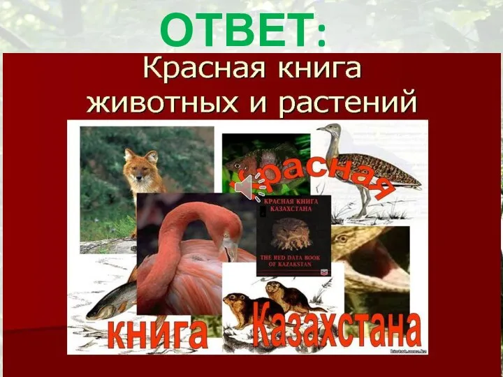 ОТВЕТ: