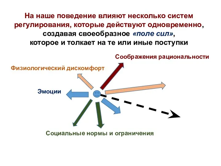 Эмоции Социальные нормы и ограничения Соображения рациональности Физиологический дискомфорт На наше поведение