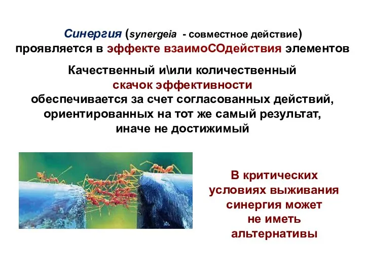 Синергия (synergeia - совместное действие) проявляется в эффекте взаимоСОдействия элементов Качественный и\или