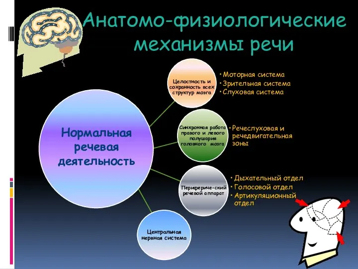 Анатомо-физиологические механизмы речи Нормальная речевая деятельность