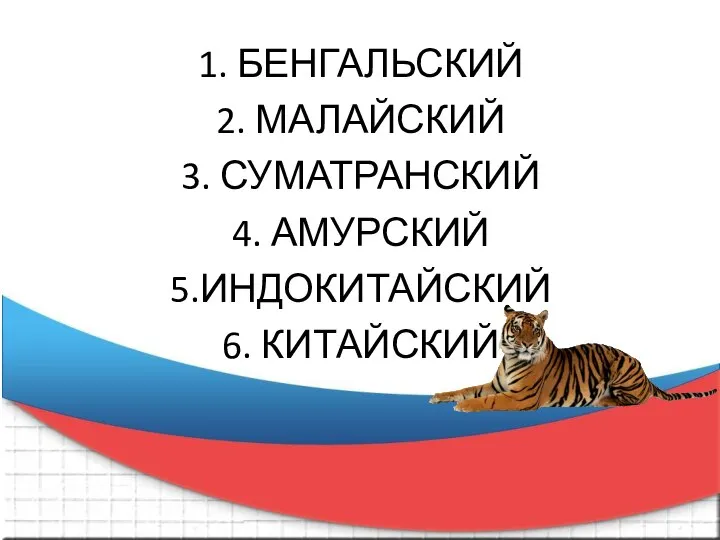 1. БЕНГАЛЬСКИЙ 2. МАЛАЙСКИЙ 3. СУМАТРАНСКИЙ 4. АМУРСКИЙ 5.ИНДОКИТАЙСКИЙ 6. КИТАЙСКИЙ