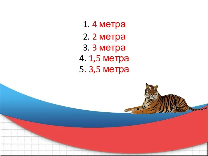 1. 4 метра 2. 2 метра 3. 3 метра 4. 1,5 метра 5. 3,5 метра