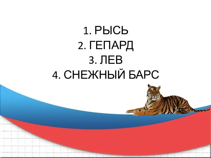 1. РЫСЬ 2. ГЕПАРД 3. ЛЕВ 4. СНЕЖНЫЙ БАРС