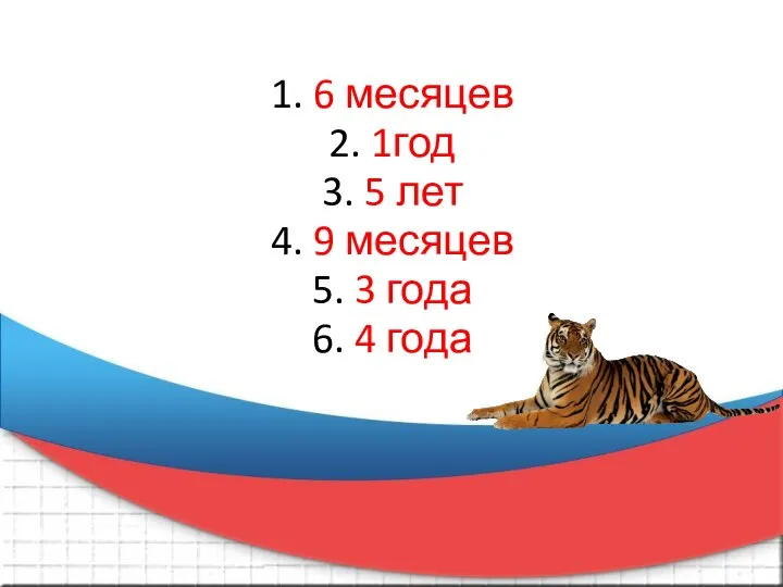 1. 6 месяцев 2. 1год 3. 5 лет 4. 9 месяцев 5.