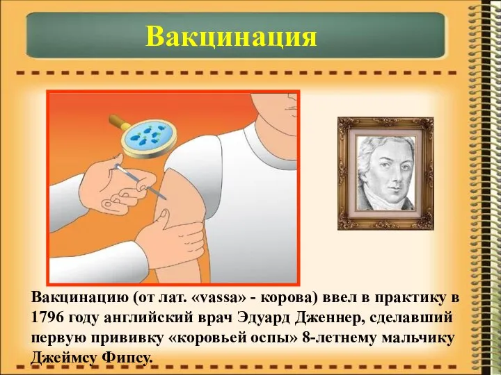 Вакцинация Вакцинацию (от лат. «vassa» - корова) ввел в практику в 1796