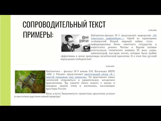 СОПРОВОДИТЕЛЬНЫЙ ТЕКСТ ПРИМЕРЫ: