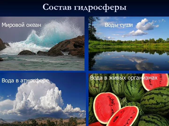 Состав гидросферы Мировой океан Вода в атмосфере Воды суши Вода в живых организмах