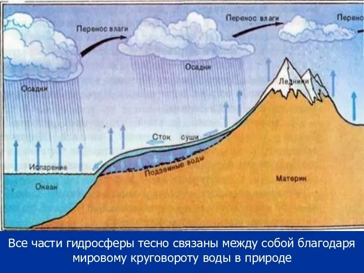 Все части гидросферы тесно связаны между собой благодаря мировому круговороту воды в природе