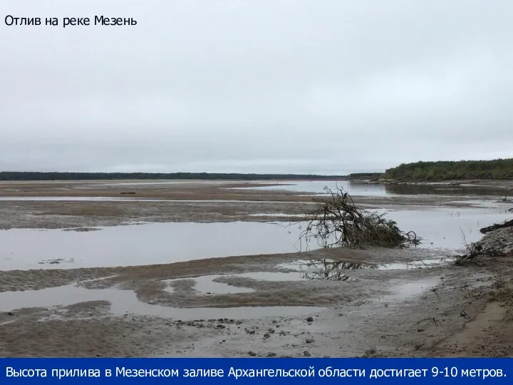Отлив на реке Мезень Высота прилива в Мезенском заливе Архангельской области достигает 9-10 метров.