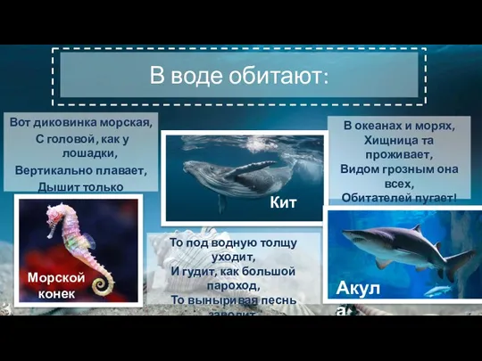 В воде обитают: Вот диковинка морская, С головой, как у лошадки, Вертикально