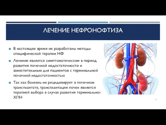 ЛЕЧЕНИЕ НЕФРОНОФТИЗА В настоящее время не разработаны методы специфической терапии НФ Лечение