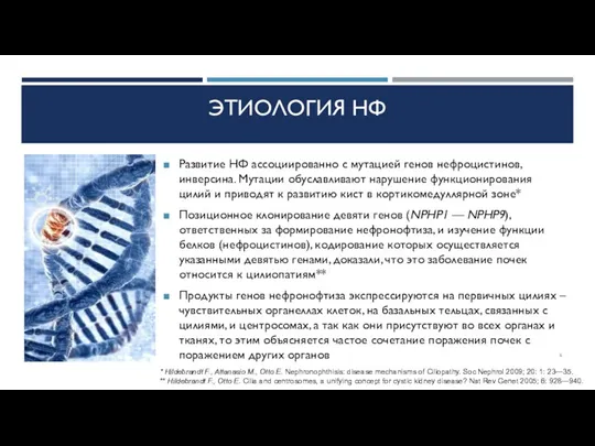 ЭТИОЛОГИЯ НФ Развитие НФ ассоциированно с мутацией генов нефроцистинов, инверсина. Мутации обуславливают