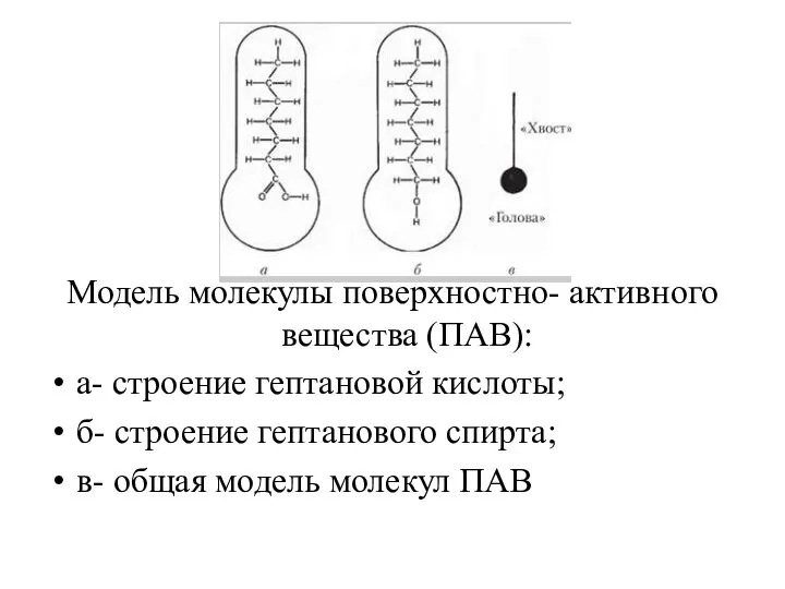 Модель молекулы поверхностно- активного вещества (ПАВ): а- строение гептановой кислоты; б- строение