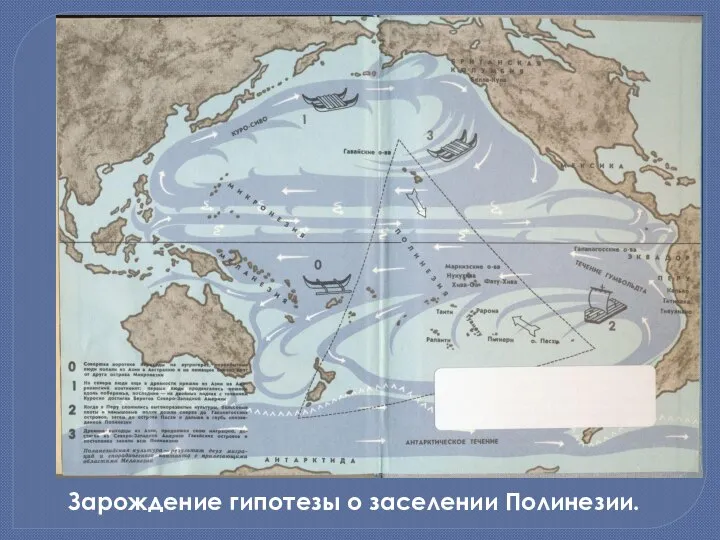 Зарождение гипотезы о заселении Полинезии.