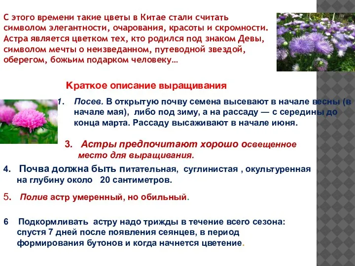 С этого времени такие цветы в Китае стали считать символом элегантности, очарования,