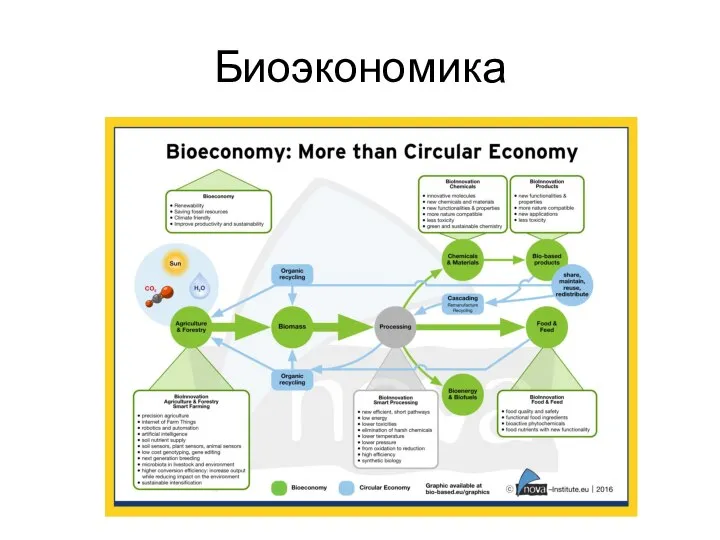 Биоэкономика