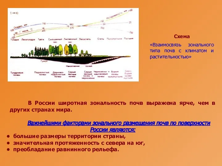 В России широтная зональность почв выражена ярче, чем в других странах мира.