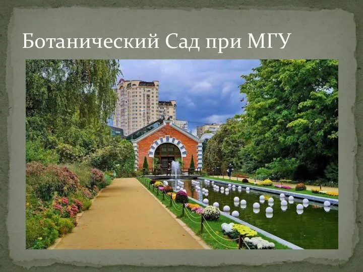 Ботанический Сад при МГУ