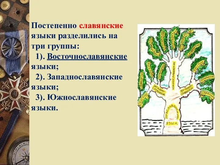 Постепенно славянские языки разделились на три группы: 1). Восточнославянские языки; 2). Западнославянские языки; 3). Южнославянские языки.