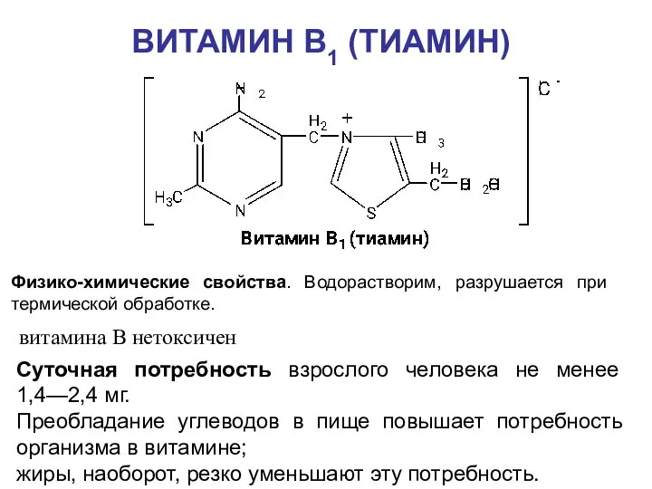 ВИТАМИН B1 (ТИАМИН) Суточная потребность взрослого человека не менее 1,4—2,4 мг. Преобладание