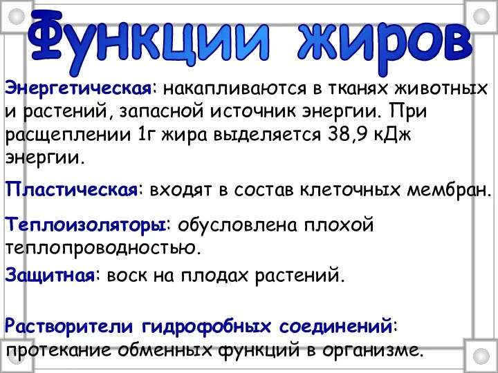 Функции жиров Энергетическая: накапливаются в тканях животных и растений, запасной источник энергии.