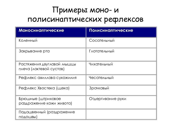 Примеры моно- и полисинаптических рефлексов